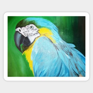 Macaw Sticker